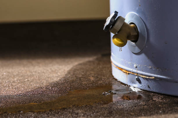 Best Flooded house restoration  in Richardson, TX