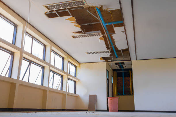 Best 24/7 water damage repair  in Richardson, TX