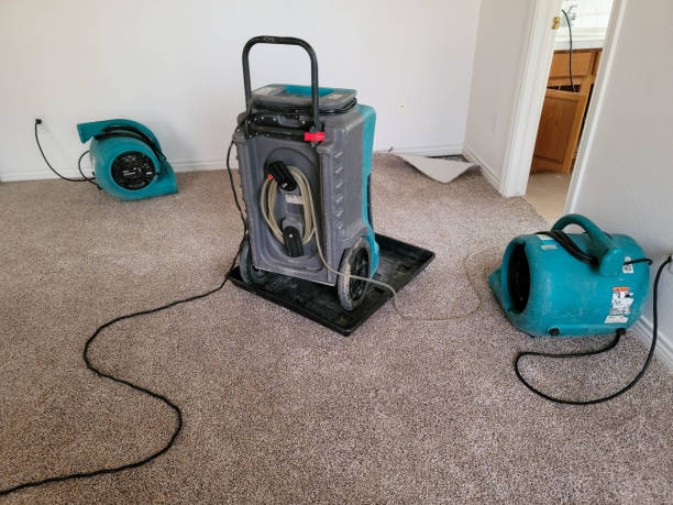 Best Water damage contractors near me  in Richardson, TX
