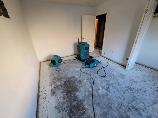 Carpet water damage restoration in Richardson, TX