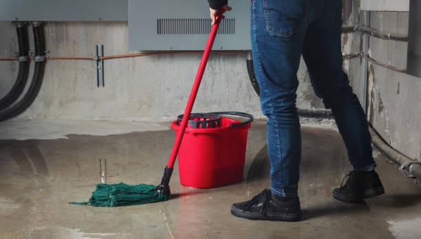 Professional Water damage restoration in Richardson, TX
