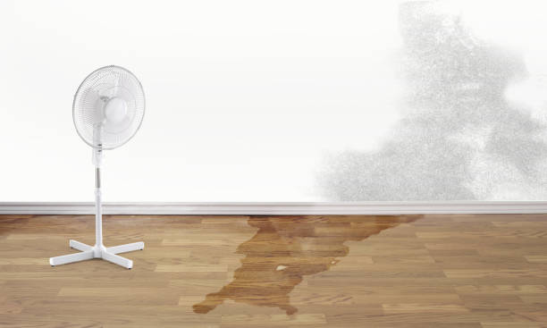 Best Basement water damage restoration  in Richardson, TX