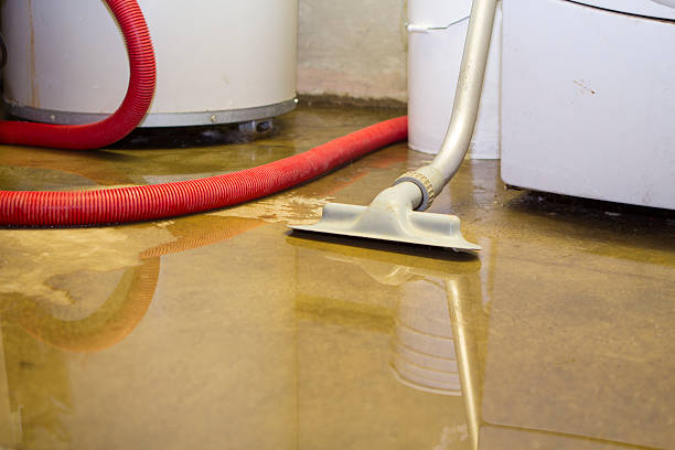 Best Flood damage cleanup  in Richardson, TX