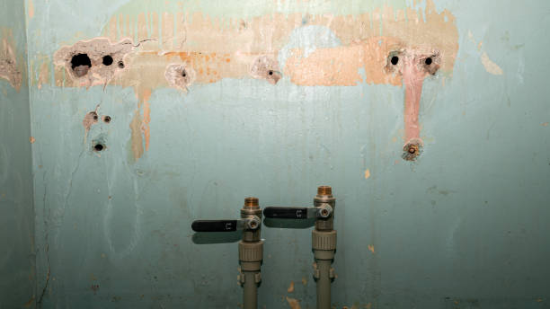 Carpet water damage restoration in Richardson, TX