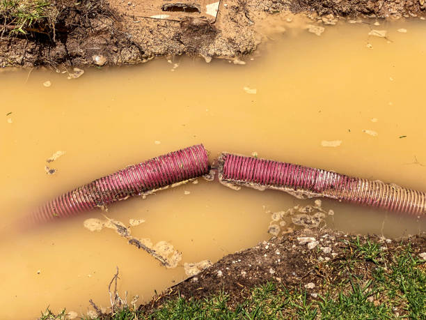Best Residential water damage restoration  in Richardson, TX